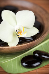 Composition zen / galets et fleur d'orchidée