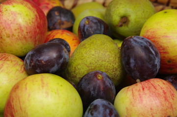 Mischobst © Robert Emprechtinger
