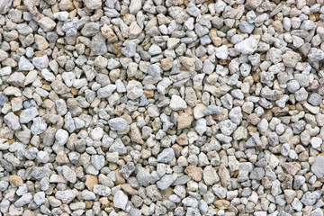 Crushed Coral Background