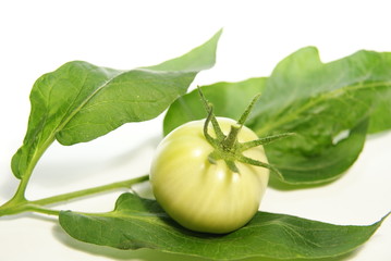 Raw tomato and leaves