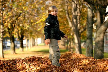 blonder Junge auf Laub im Herbst