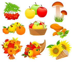 Autumn food set