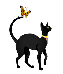 Beautiful black cat on a white background with the butterfly
