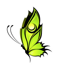 beautiful tropical butterfly