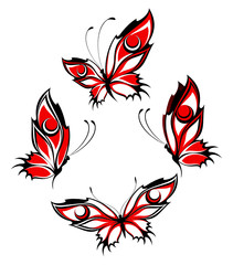 Obraz premium Beautiful tropical butterfly