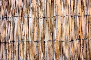 Closeup of a simple reed fence in a rural area
