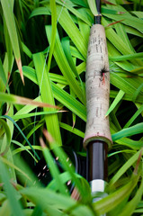 Fly Rod with Red Fly