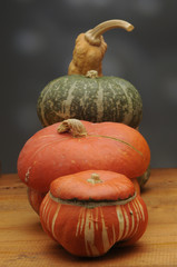 Zucche mature
