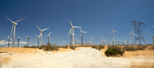 Wind Turbine