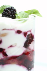 Luscious fresh modern dessert