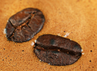 Coffee bean macro