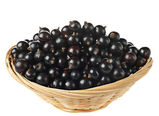 Black currant