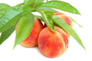 Peaches