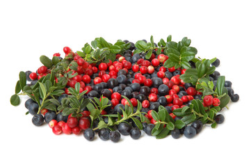 Bilberries and cranberries