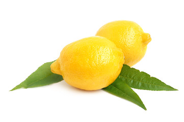 Lemon citrus