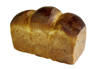 Brioche