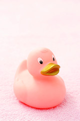 rubber duck