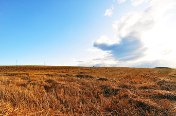 An autumn field on the heights of the Swabian Alb
