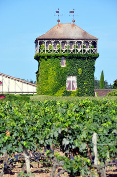 château viticole