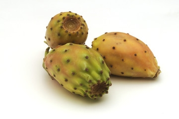 Fichi d india