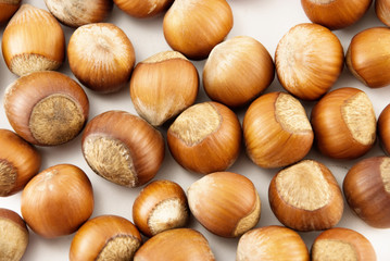 hazelnuts