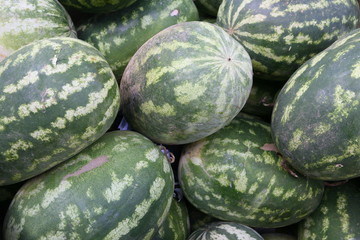 Grosse Melonen grün gestreift