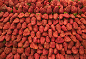 Vibrant Strawberries