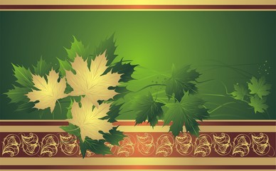 Gold maple leaves on the decorative background. Vector