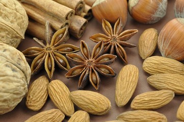 Nüsse, Anissterne, Zimtstangen