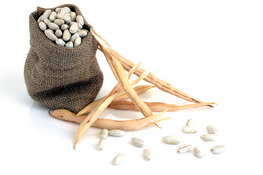 Haricots lingot