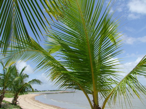 Kourou - Bord De Mer