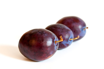 Pflaumen auf Weiss