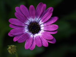 Obraz premium koniec lata