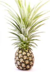 Pineapple on a white background