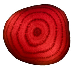 Beet © Max Tactic