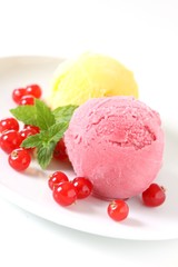 Frucht Sorbet mit Johannisbeeren und Minze