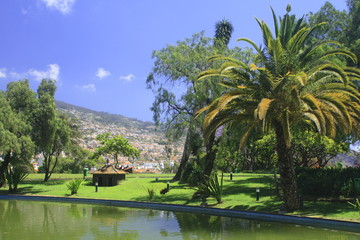 Madeira, Funchal