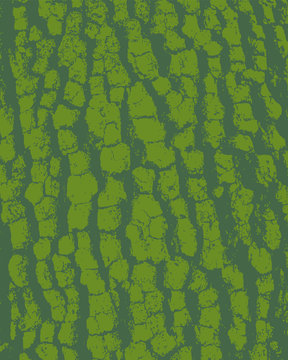 sfondo corteccia