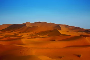 Fensteraufkleber sunset over sand dunes © kmit