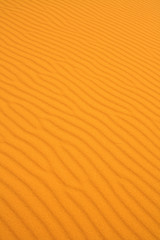 sand dune texture