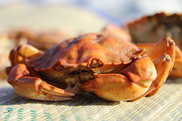 crab