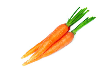 Carrot vegetable group