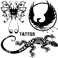 vector illustration iconic lizard, butterfly, bird