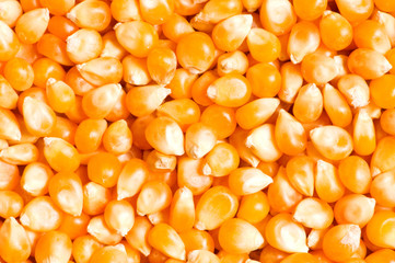 Bright corn kernels arranged as the background