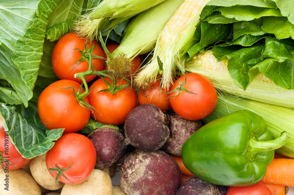 Wall mural vegetables.