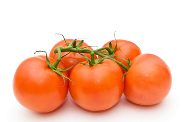 Tomatoes.