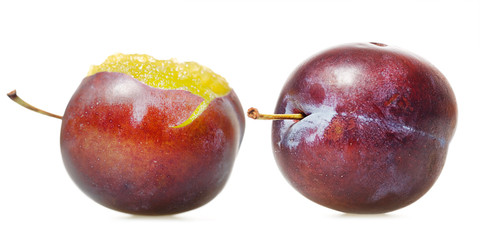 plum