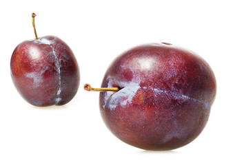 plum
