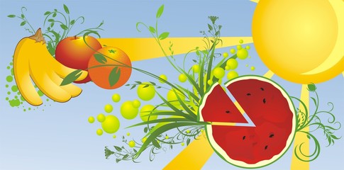 Watermelon and fruit. Summer background for banner. Vector