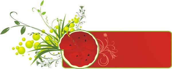 Watermelon and sprigs. Banner. Vector